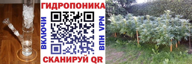 Магазин наркотиков Петровск-Забайкальский Alpha-PVP Мефедрон Кокаин Гашиш Бошки Шишки