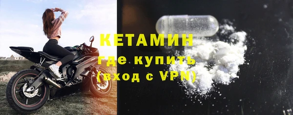 шишки Осинники