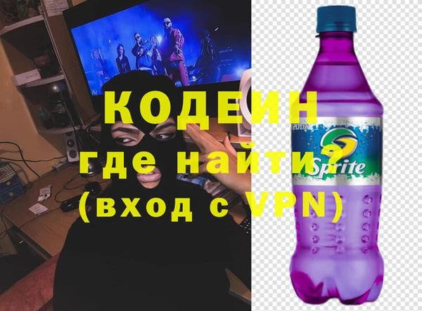 шишки Осинники