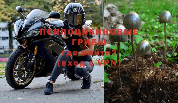 ПСИЛОЦИБИНОВЫЕ ГРИБЫ Осташков
