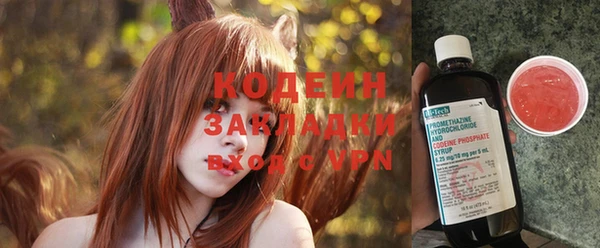 шишки Осинники