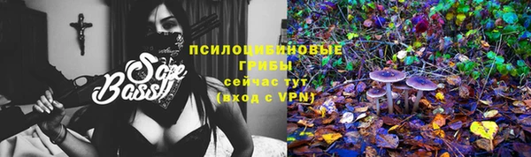 ПСИЛОЦИБИНОВЫЕ ГРИБЫ Осташков