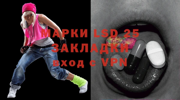 шишки Осинники