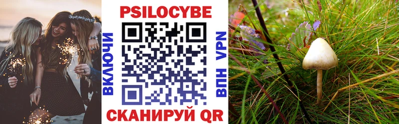 Галлюциногенные грибы Psilocybine cubensis  Петровск-Забайкальский 